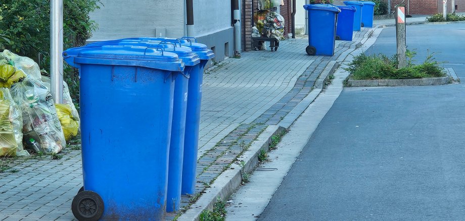 Sie sehen: Blaue Papierabfallbehälter am Straßenrand