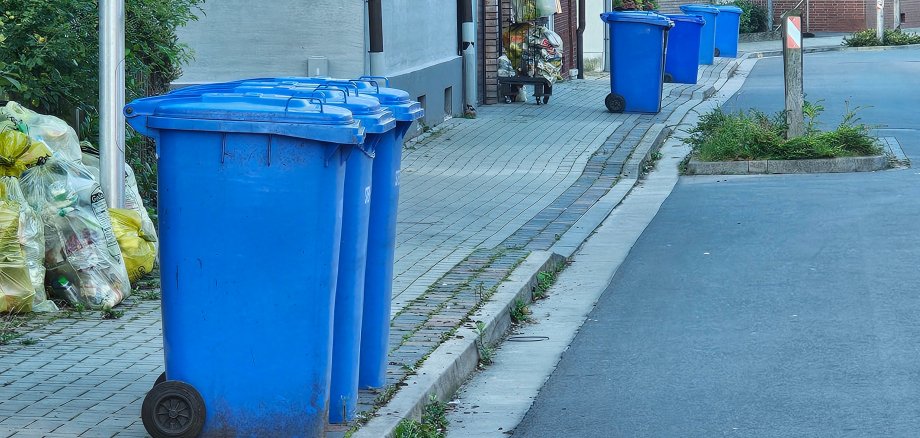 Sie sehen: Blaue Papierabfallbehälter am Straßenrand