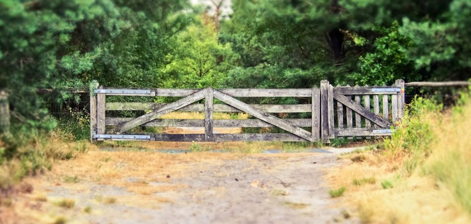 Sie sehen: Feldweg mit Lattenzaun und verdorrten Pflanzen